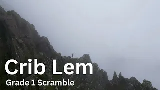 Crib Lem Grade 1 Scramble: Yes Please!