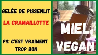 Gelée de FLEURS de PISSENLIT: la cramaillotte - le MIEL VEGAN  !!!