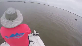 Fishing for Trout; Voo Doo Shrimp Hopedale, La