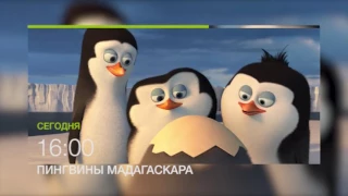 Сумасшедше веселые "Пингвины Мадагаскара" в 16.00 на НТК 15 июля (анонс)