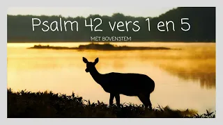 Psalm 42 vers 1 en 5 -  't Hijgend hert, der jacht ontkomen