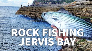Rock Fishing Jervis Bay  #fishing #tuna #rockfishing  #landbasedfishing #saltlife #angler #bonito