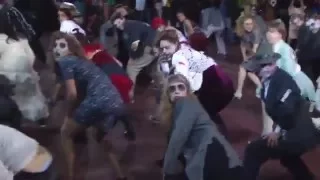 Thriller Flash Mob - Halloween 2010 - Boulder, CO