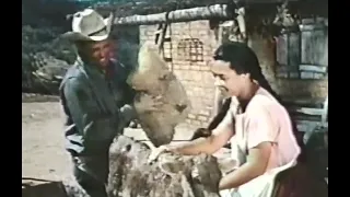 Walt Disney's "Sancho, The Homing Steer" Season 8 Ep 15 & 16