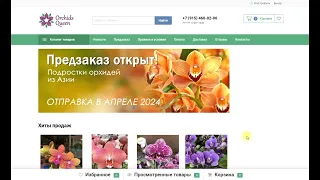 🌸 ПРОДАЖА ОРХИДЕЙ и РАСТЕНИЙ. Предзаказ орхидей на сезон 2024года. Орхидеи почтой. Купить орхидею.