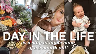 a *realistic* day in the life of a STAY AT HOME MOM OF A 2 MONTH OLD! 👶🏻🤟🏼
