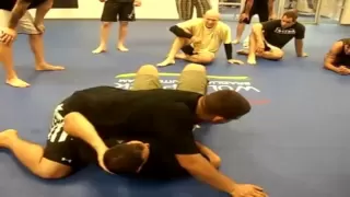 Frank MIR - (Brazilian Jiu Jitsu) Highlights.ᴴᴰ