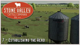 💥 Establishing the Herd | Stone Valley Cattle Company | Farming Simulator 22 | Episode 7