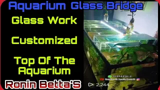 Aquarium Bridge - Glass Setup - Making - Rajvinoth Ronin Betta'S  #glassbridge #aquariumdesign
