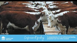 A-Z of Confinement Feeding Webinar - Part 2