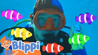 Blippi Learns To Underwater Scuba Dive with Sea Animals! | Blippi - Learn Colors and Science