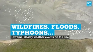 Wildfires, floods, sandstorms, typhoons…Extreme, deadly weather events on the rise • FRANCE 24