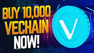 Why You Should Own At Least 10,000 VeChain Tokens - VET VeChain Cryptocurrency