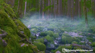 Rain's Sound + Stream for Sleep, Focus, Studying | 4K Nature Video pleasing sounds 10 Hours