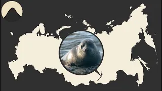 How did a seal get to a lake in the middle of Siberia