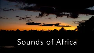 Night falling in the African bush