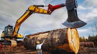 The strongest and fastest woodcutting forestry machines are truly astonishing