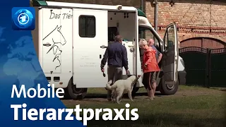 Ärztin mit mobiler Tierarztpraxis