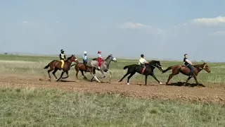 Кокдауыл (Ортадересин) - 1шi орын, Шахан каласы09.05.2019ж., Шабандоз Нургиса