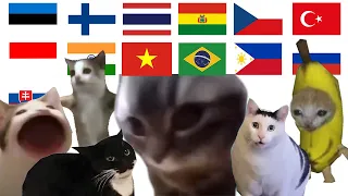 All Cat Memes in Different Languages Meme ( chipi chipi chapa chapa )
