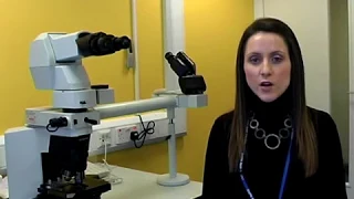 Meet a Biomedical Scientist | Francesca Albertini