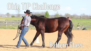 Ohio TIP Challenge 2021 – Pattern