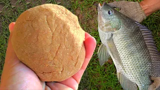 Como fazer MASSINHA para TILAPIA e outros PEIXES (tutorial)