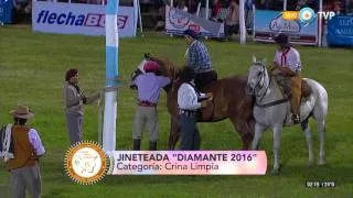 Festival de Jineteada y Folclore Diamante 2016 - Jineteada: categoría Crina Limpia