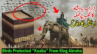 Birds Protected the Kaaba From King Abraha | Story of King Abraha & Elephant | Pyaara Islam