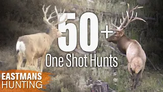 Best One Shot Kills | 50 Rifle and Bow Hunts with Eastmans' Hunting Journals