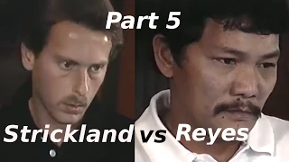 Efren Reyes vs Earl Strickland $100,000 The Color of Money Challenge Match Part 5 of 5