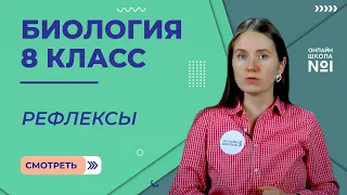 Рефлексы. Видеоурок 32. Биология 8 класс