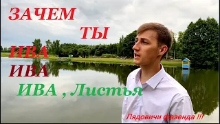 Парень повторил песню своего кумира .  Александр СЕНЮТА. (кавер)