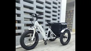 20 inch Electric tricycle cargo ebike suitable for rental/delivery