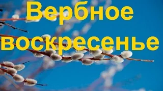 Вербное воскресенье: смысл праздника, что делать с вербой.