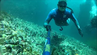 Dive Site Explained - Justin's Caves and Sandy Cove - Cape Town, South Africa