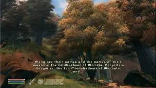 The Elder Scrolls IV: Oblivion - Mankar Camoran's Paradise speech