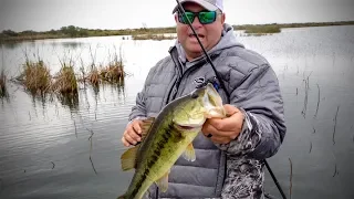 3 Quick Tips for Big Bites when Fishing Swim Jigs