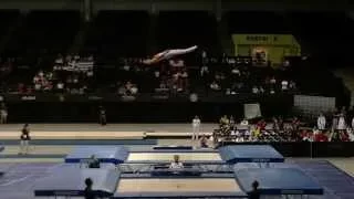 Gao,Lei Compulsory CHN,Trampoline World Championships 2014