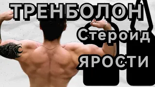 ТРЕНБОЛОН! Мой Личный Опыт