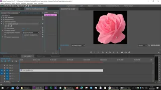 Эффект Заливка пипеткой  Premiere Pro