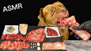 Best ASMR Dog In The World | Pitbull Eating Raw Foods Beef back rib Heart Kidney Tongue