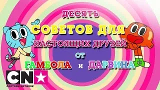 Удивительный мир Гамбола | 10 правил крепкой дружбы | Cartoon Network