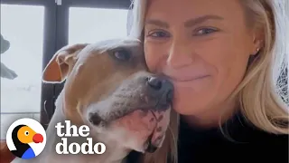 This Pittie Knows Exactly When Her Mom Needs A Hug | The Dodo