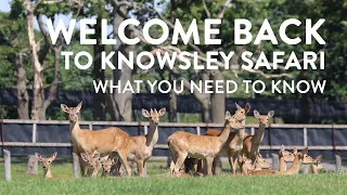 Things you need to know about your COVID safe visit to Knowsley Safari