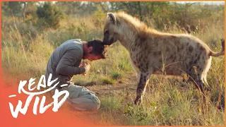 Spectacular Animal-Human Relationships | Animal Odd Couples | Real Wild