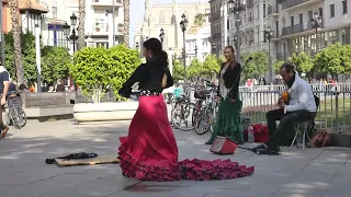 Guitar Music Flamenco Guitar Seville, Spain