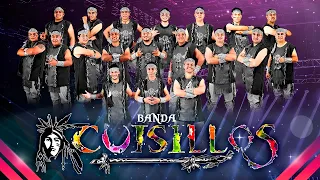 Banda Cuisillos - Puros Exitos de Oro (Rancheras) #musicamexicana #musicabanda