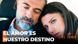 El Amor Prohibido De Abbas Y Canan - El Fénix Episodio 26