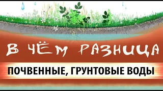 Поверхностные воды и грунтовые воды. В чём разница.